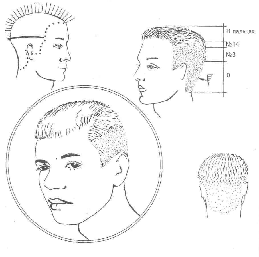 Пошаговая инструкция мужской стрижки Стрижка теннис- техники выполнения, способы укладки