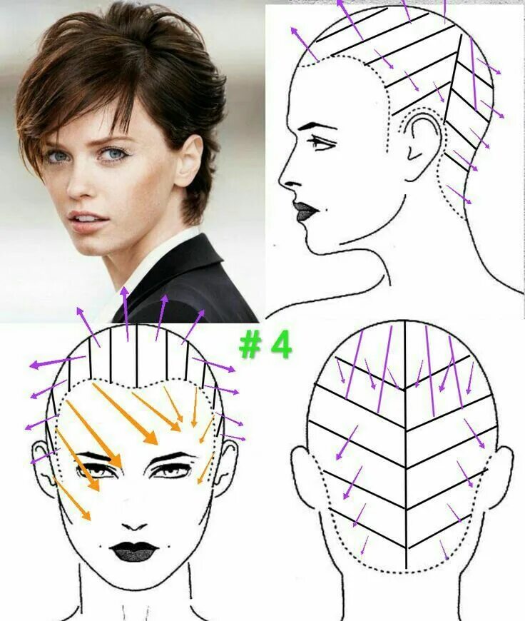 Пошаговая короткая стрижка для женщин Pin on ПАРИКМАХЕР in 2024 Hair cutting techniques, Medium hair cuts, Hair academ