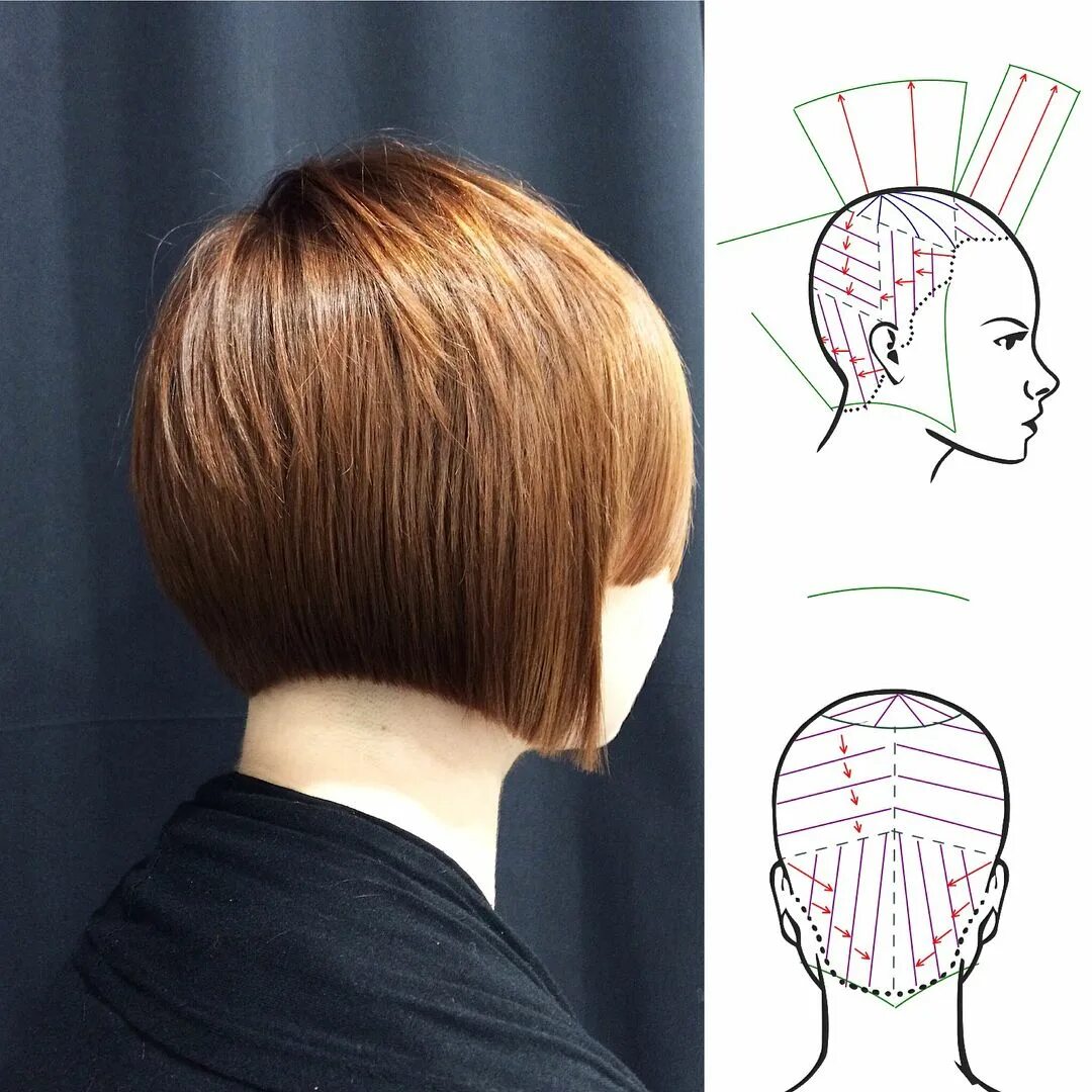 Пошагово стрижка короткое каре 409 curtidas, 2 comentários - Hairdressing Head Sheets (@hairtechapp) no Instagr