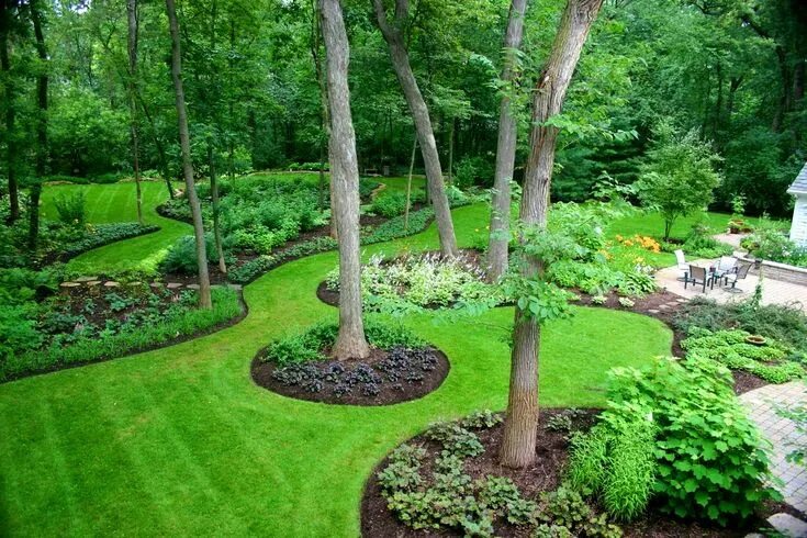 Пошаговый ландшафтный дизайн Pin by Drbendova on Garden Large yard landscaping, Large backyard landscaping, B