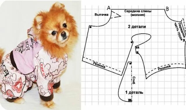 Пошив одежды для собак выкройки Выкройки одежды для маленьких пород собак, какая одежда нужна, как сделать, каку