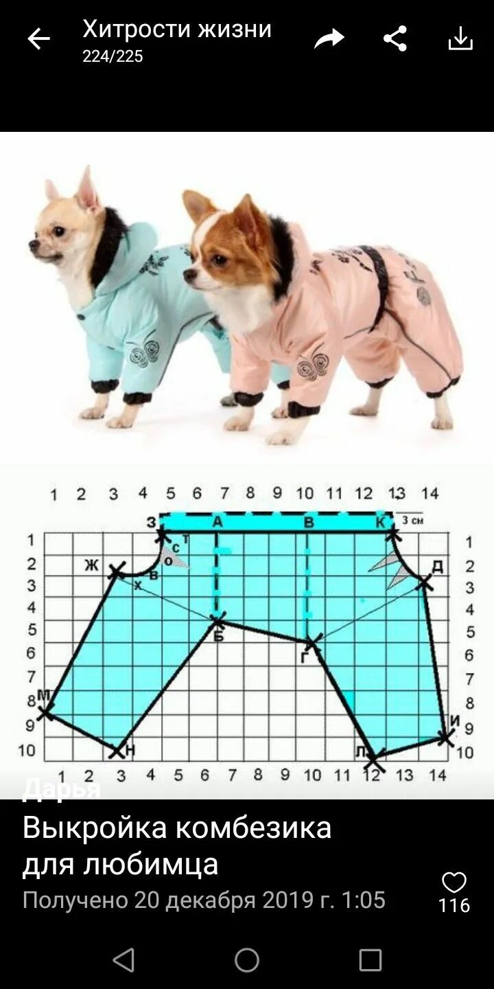 Пошив одежды для собак выкройки Pin on Для дома Dog clothes patterns, Dog pants, Dog clothes diy