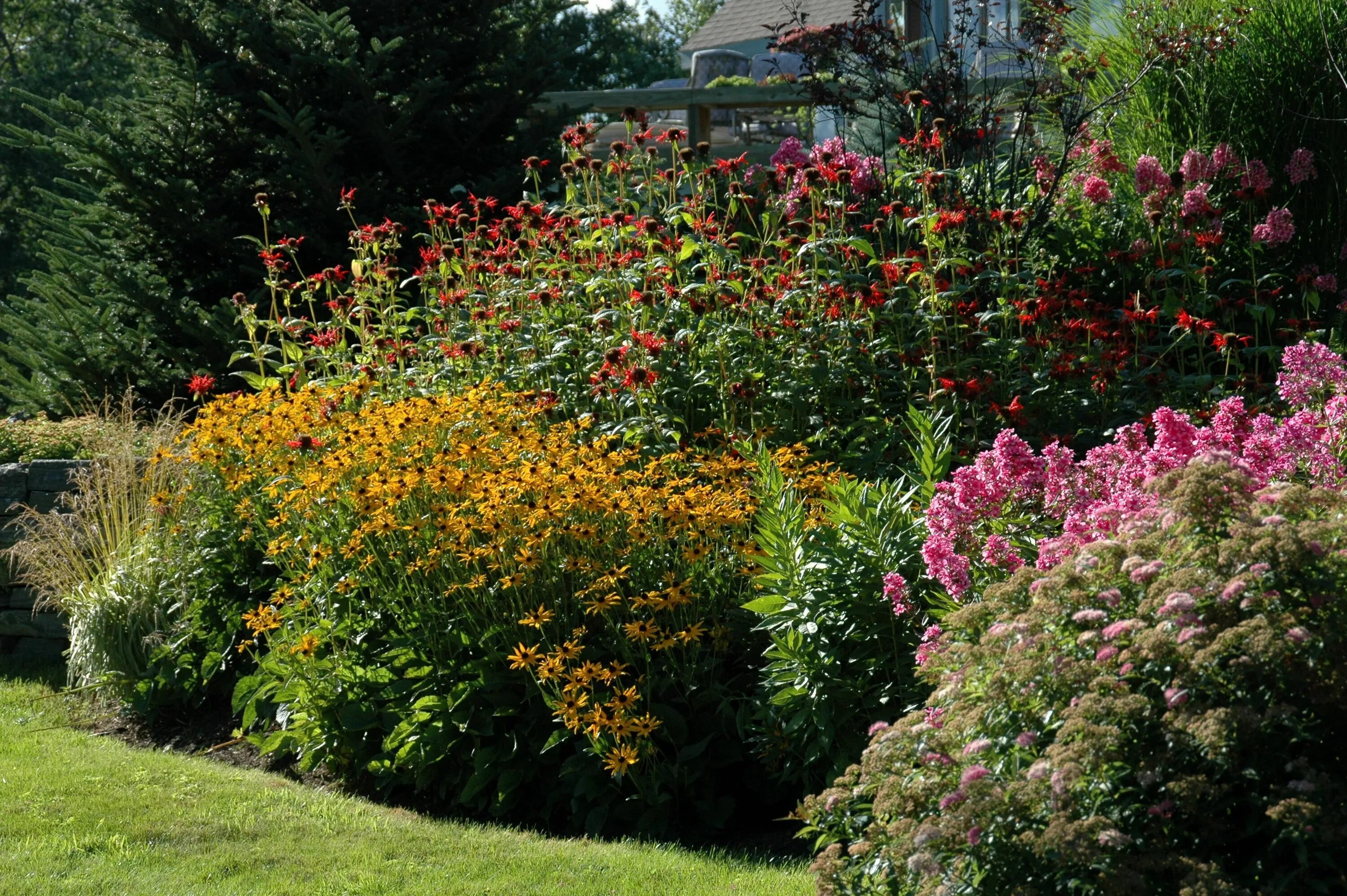 Посконник с чем сочетается на клумбе фото An Attractive Border for Your Garden in Vermont