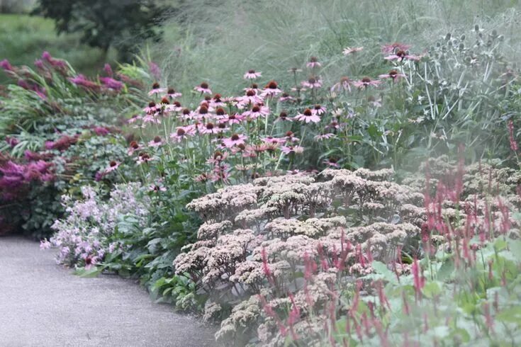 Посконник в ландшафтном дизайне Carina Bergius: Solhattar och jättetåtel Blommor, Naturlig trädgård, Garden cott