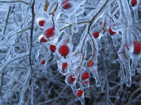 После зимы фото ice storm Ice storm, Storm photography, Storm wallpaper