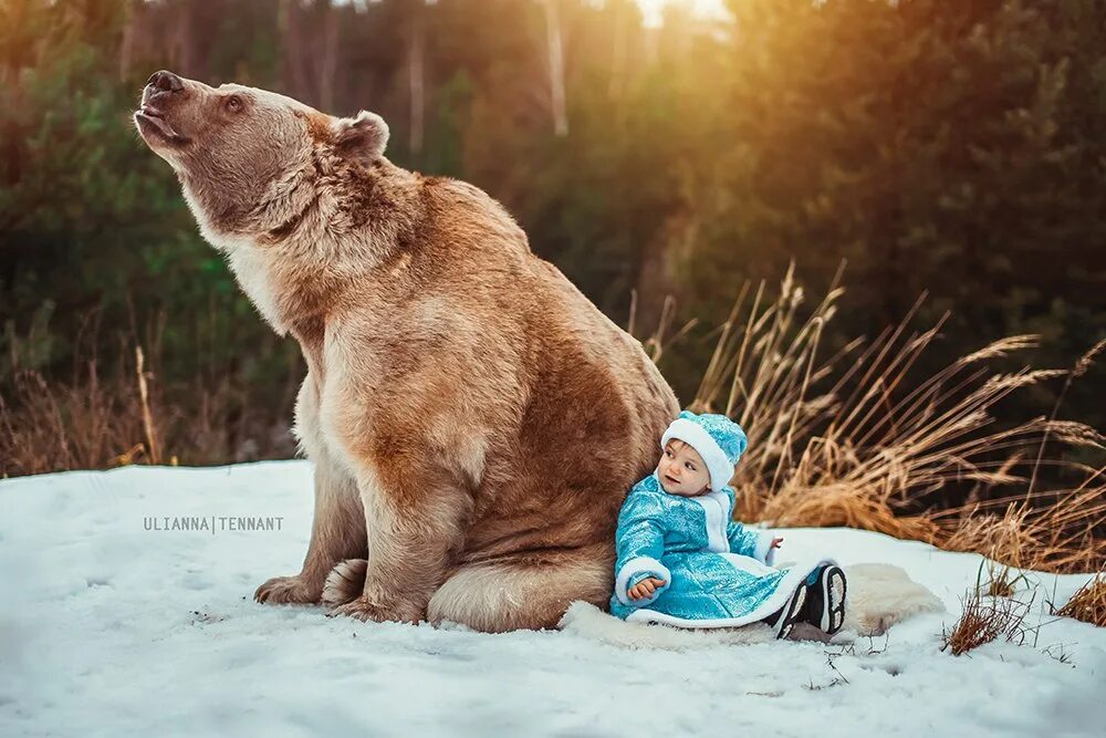 Последнее фото фотографа с медведем Photographer Tennant Yulianna