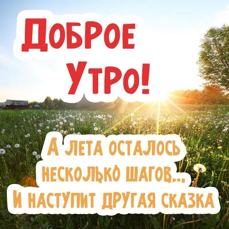 Последний день лета картинки новые #доброеутротосно #Тосно #Тосненскийрайон #врачитосно 2023 Медицинский центр "Здо