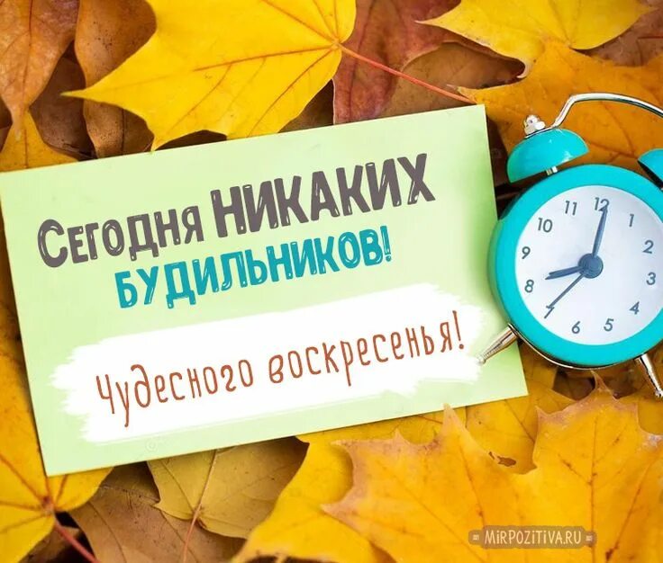 Последний день сентября доброе утро картинки прикольные никаких будильников Цитаты о счастье, Доброе утро, Праздничные цитаты