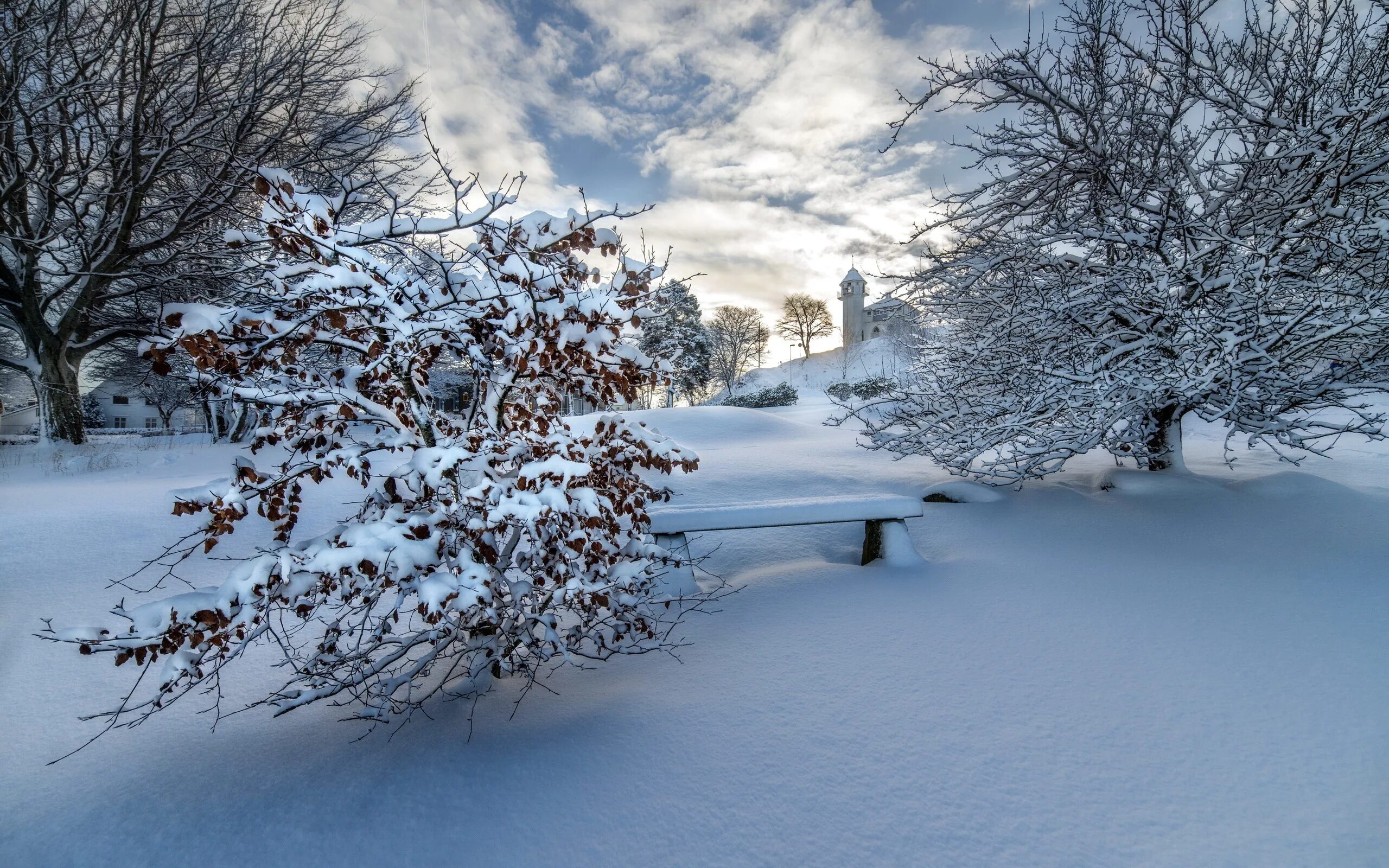 Последняя зима фото Invierno, nieve gruesa, árboles, banco, casas 750x1334 iPhone 8/7/6/6S Fondos de