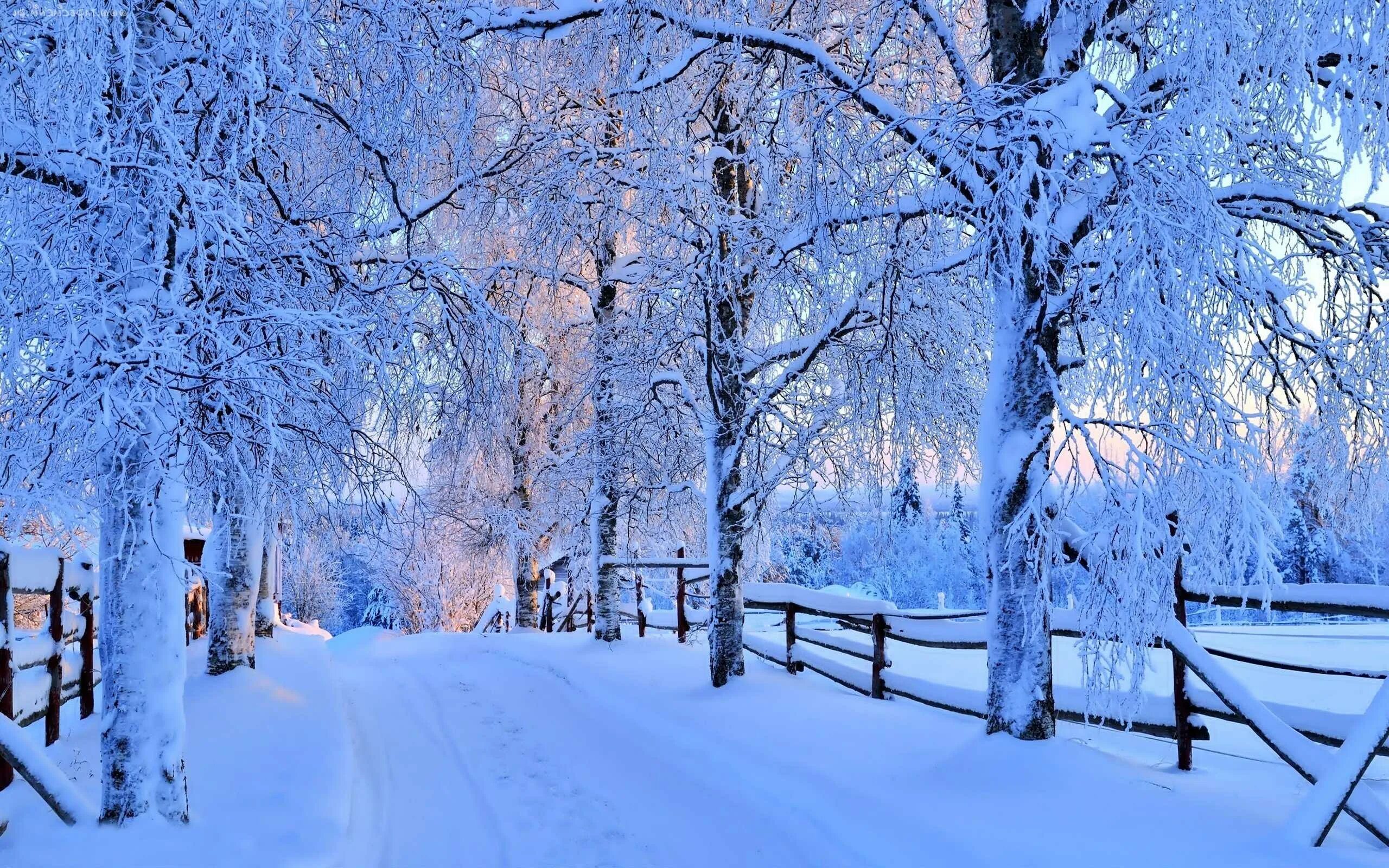 Последняя зима фото Winter picture