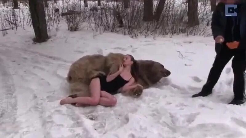 Последствия встречи с медведем фото Russian models pose next to brown bear - ExPornToons