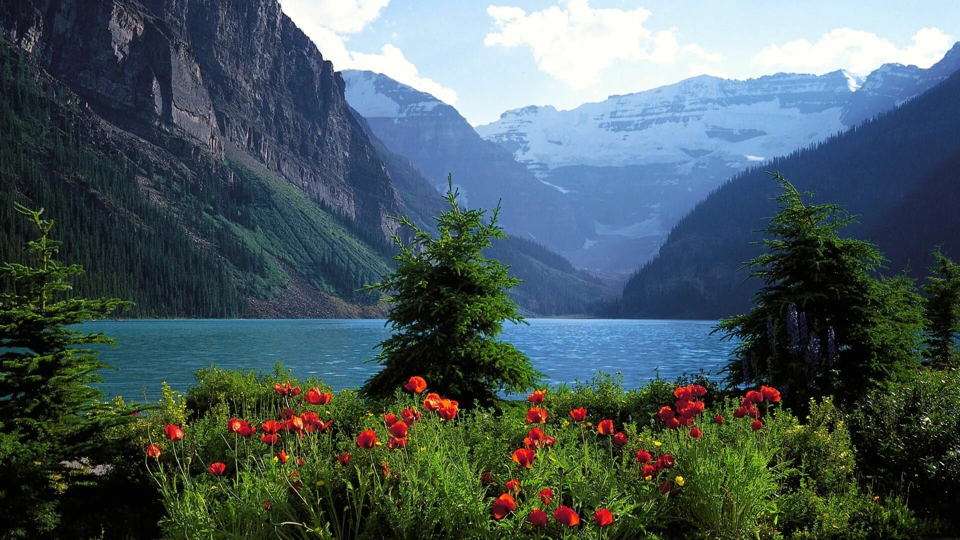 Посмотреть фото природы Banff National Park, National Park, Alberta, Canada Lindas paisagens, Ideias de 