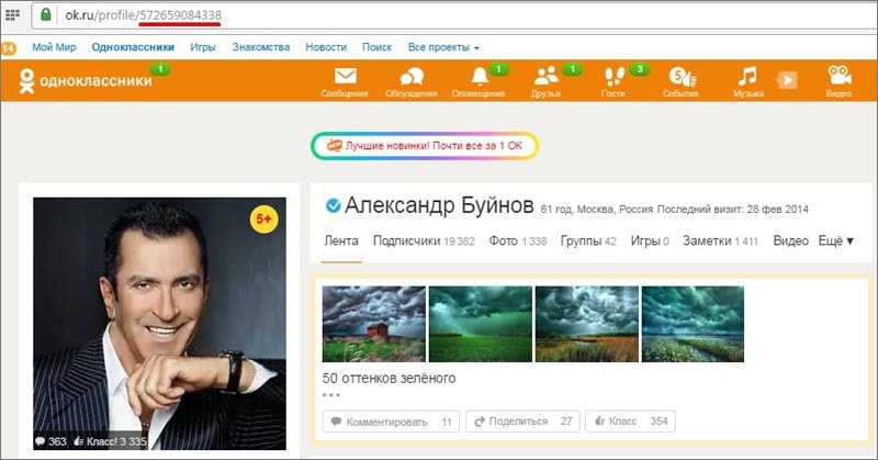 Посмотреть фото в одноклассниках на закрытой странице Как узнать ID другого человека в Одноклассниках?