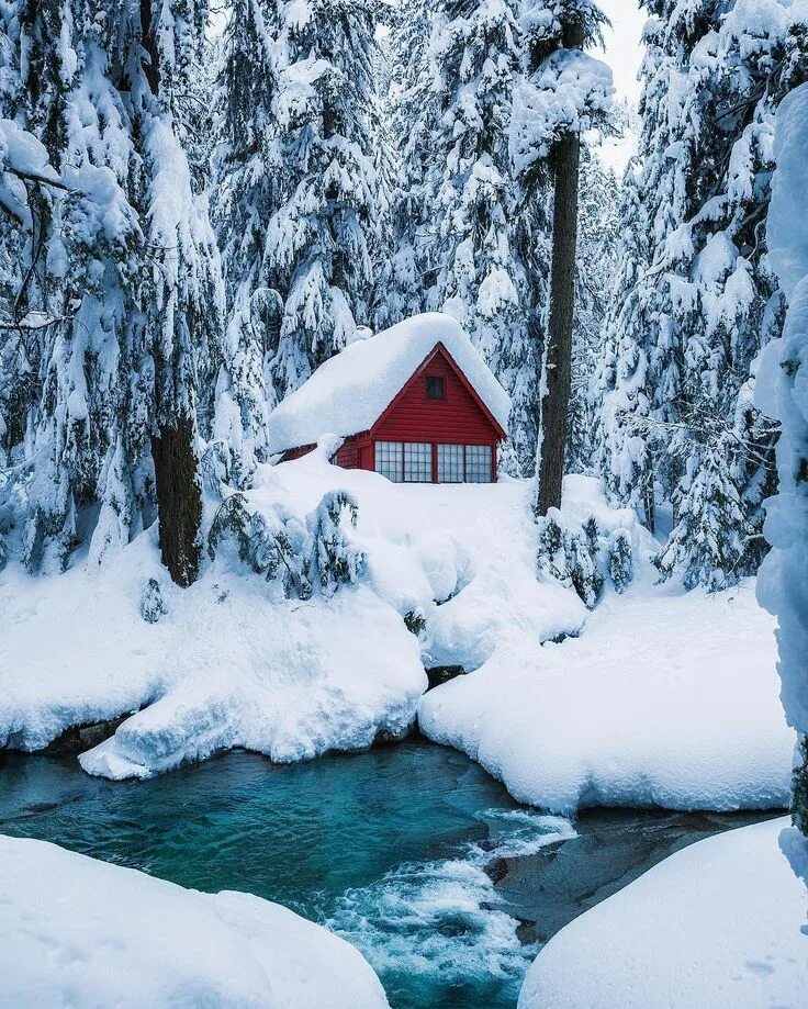 Посмотреть фото зимы Franklin Falls trail (Washington) by michaelmatti on Instagram Winter scenery, W