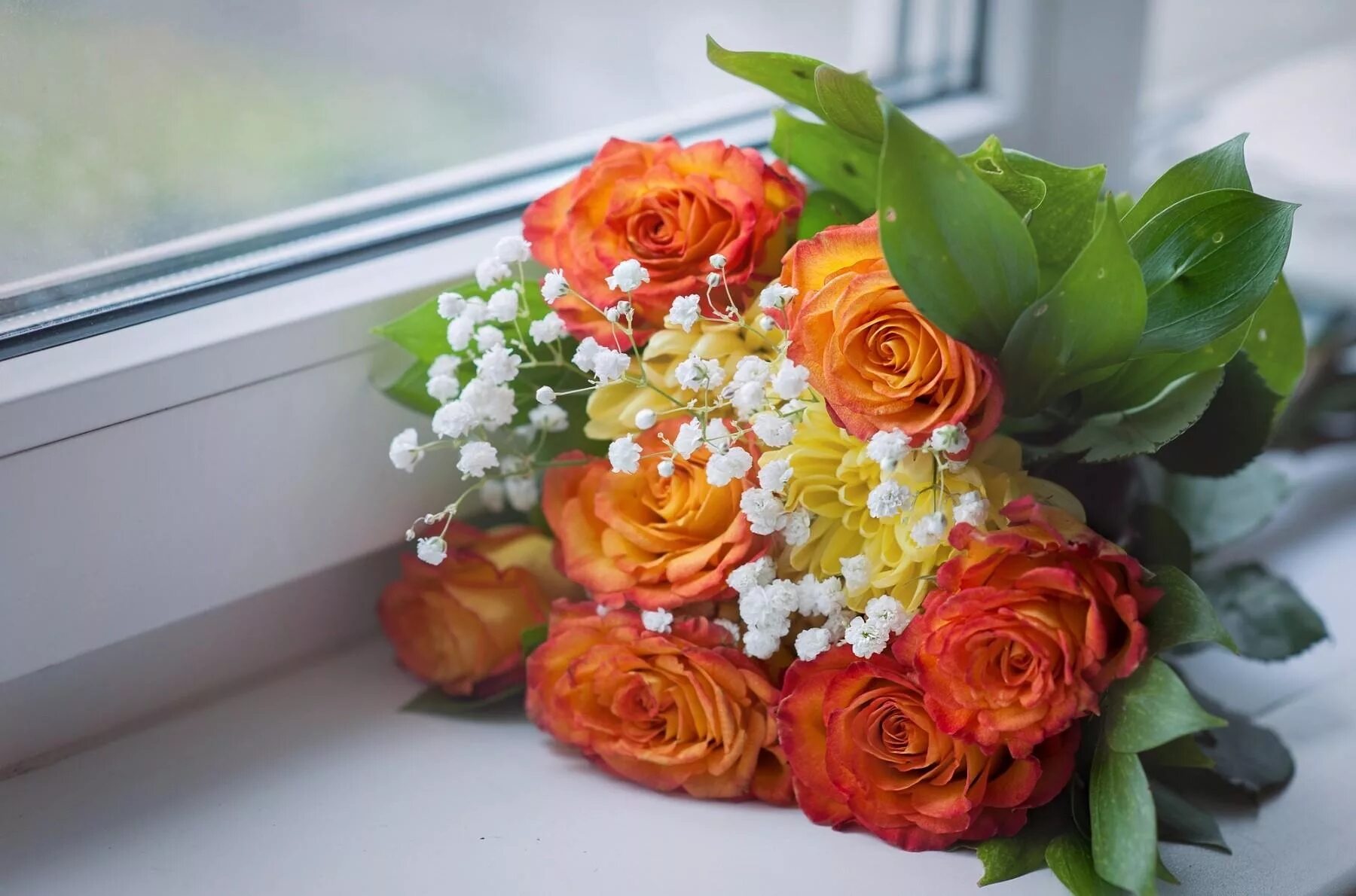 Посмотрите фото букетов Wallpaper : roses, babys breath, bouquet, windowsill, window 1800x1190 - wallup 