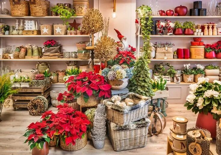 Поставщики декора для дома Pin by Karen Wightman on Christmas Flower shop display, Flower shop design, Flow