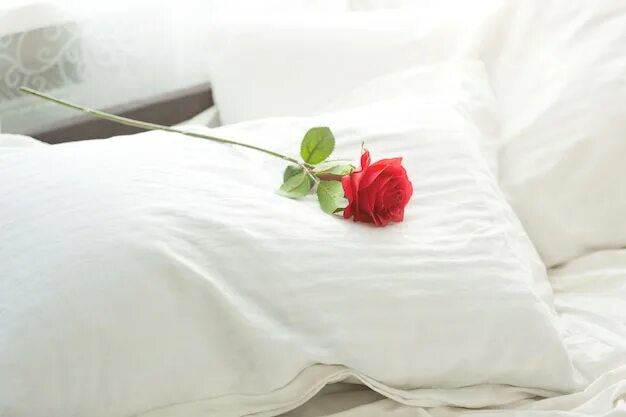 Постельные фото цветов Premium Photo Toned photo of red rose lying on bed at morning