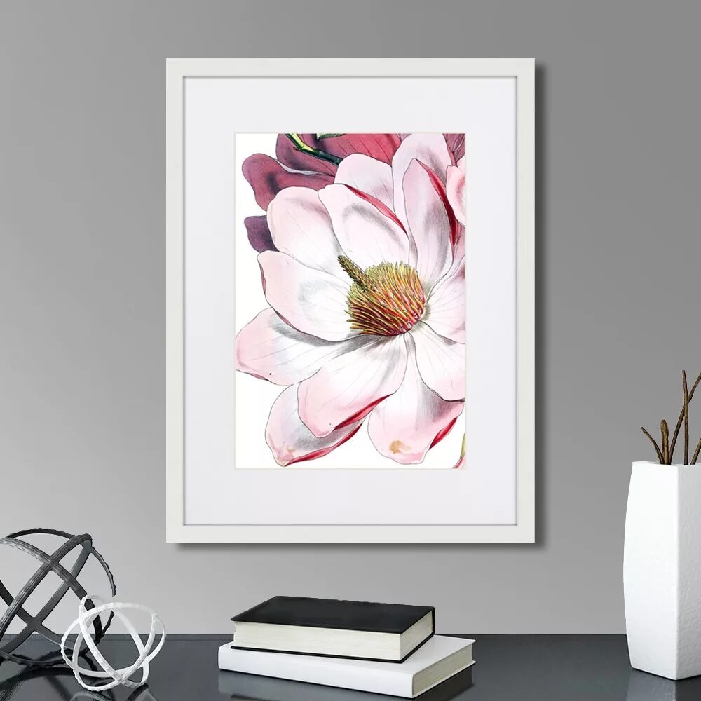 Постеры цветов на стену для интерьера Картина Картины В Квартиру Himalaya Plants Pink-Flower on white II, 1869г., Бума