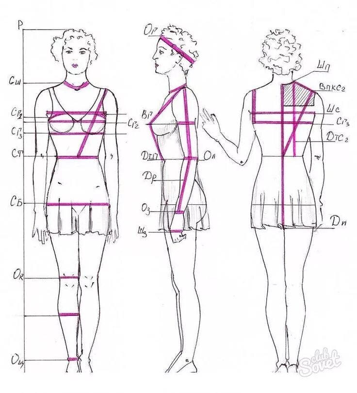 Построение выкройки на женскую фигуру РАЗМЕРНЫЕ ПРИЗНАКИ ТЕЛА ЧЕЛОВЕКА,необходимые для конструирования базовых констру
