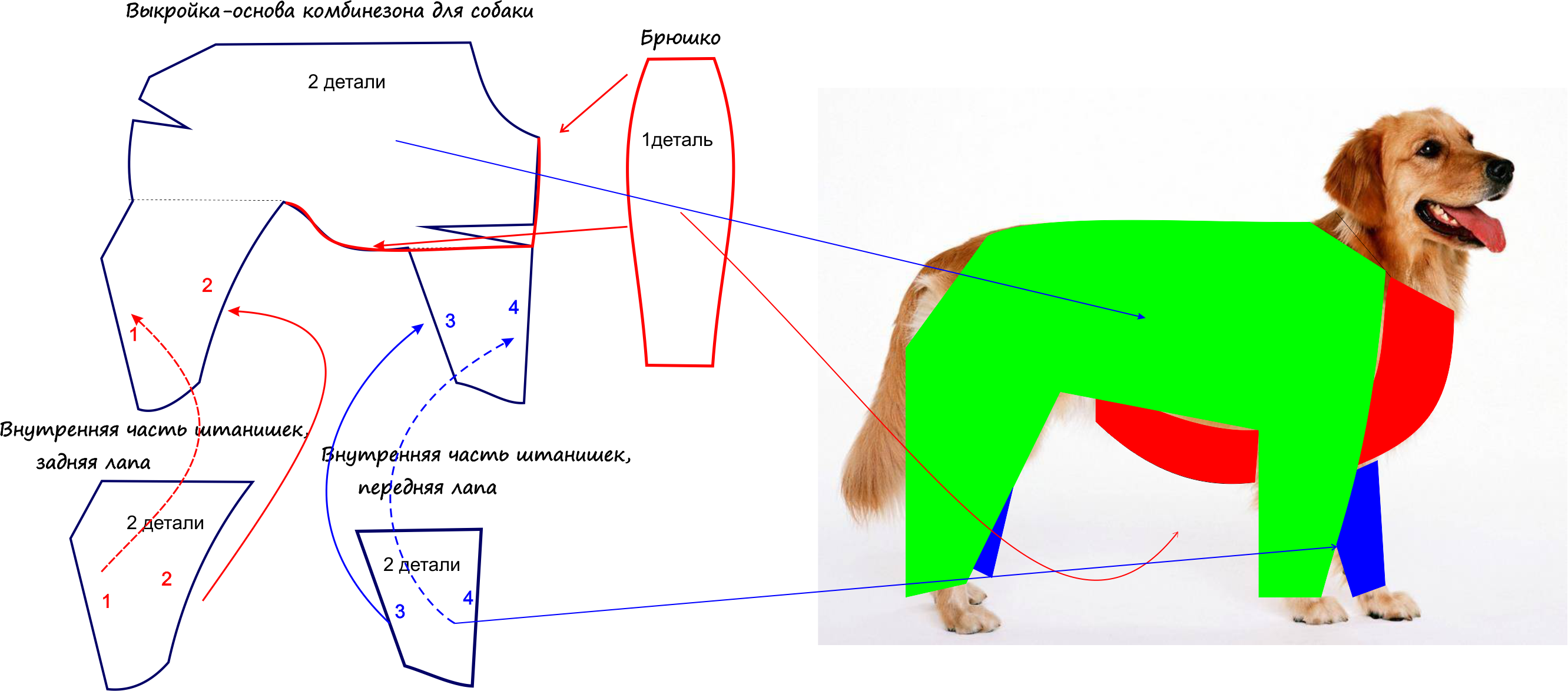 Построение выкройки одежды для собак средних пород Базовая выкройка для собак Шить просто - Выкройки-Легко.рф Dog clothes diy, Dog 