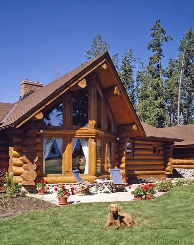 Построить дом из дерева фото Фотография Cabin homes, Log cabin homes, Log home floor plans