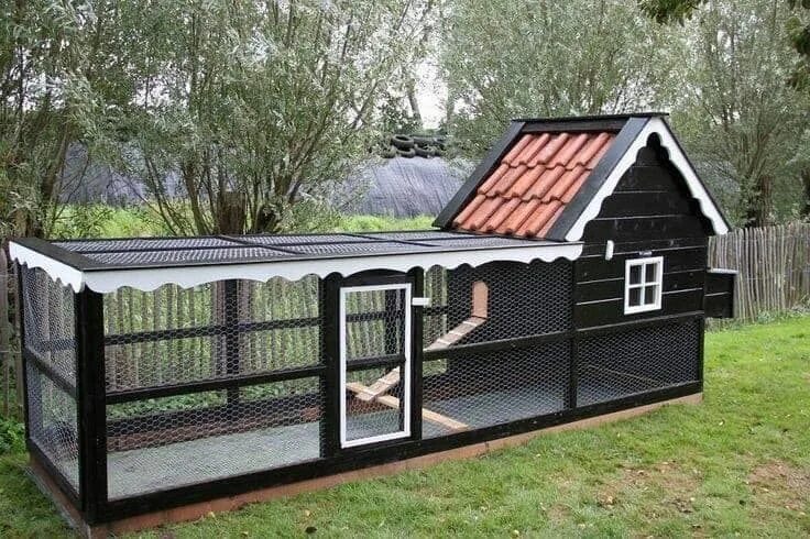 Построить курятник на 20 кур фото 100 top idées de poulaillers pour la prise en charge de vos poulets Chicken coop