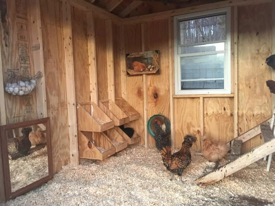 Построить курятник на 20 кур фото 10 Free 8x8 Chicken Coop Plans You Can DIY This Weekend Diy chicken coop plans, 