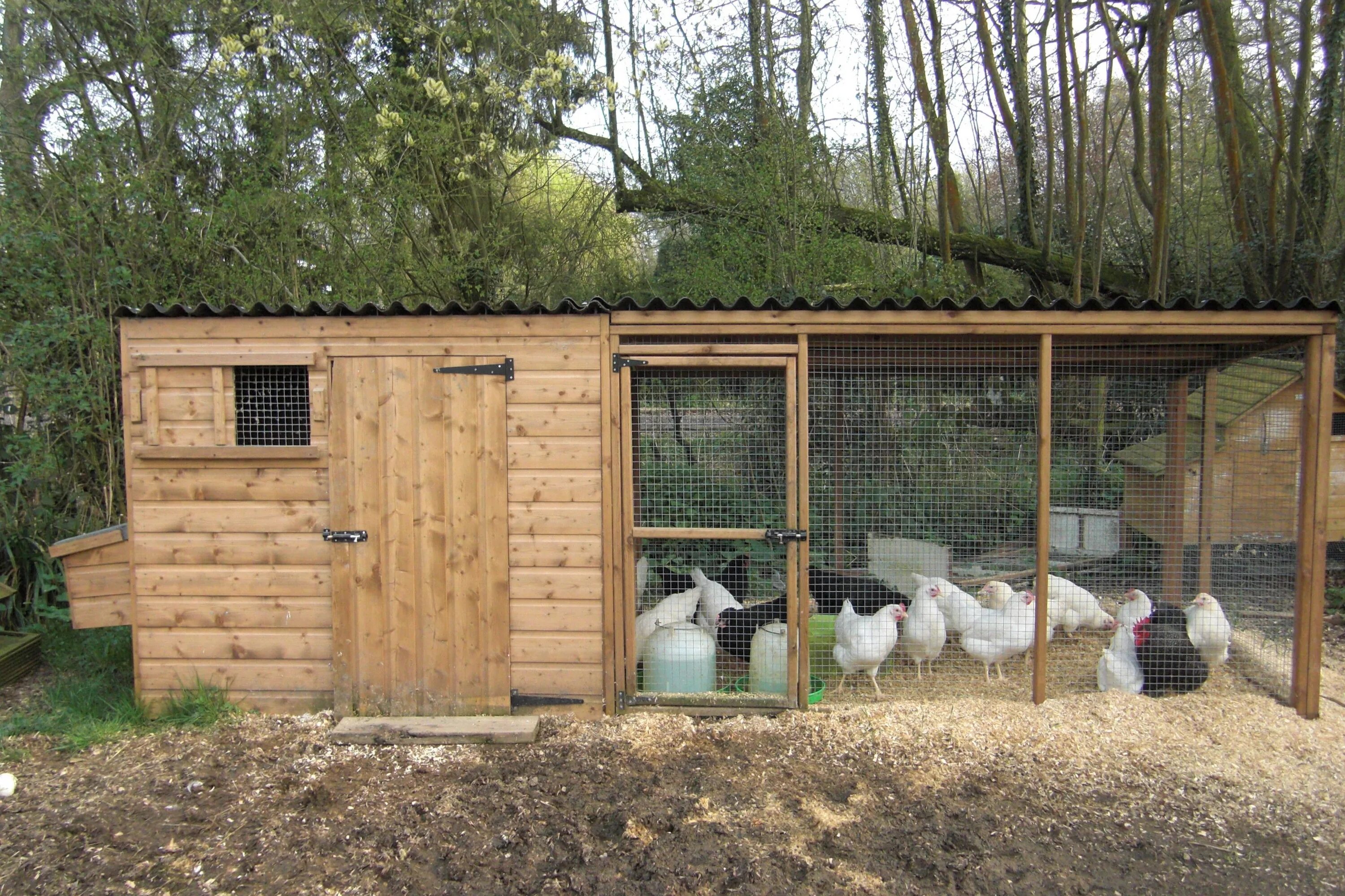 Построить курятник на 20 кур фото chicken houses ... house with nestboxes and large adjoining run - Chicken Houses