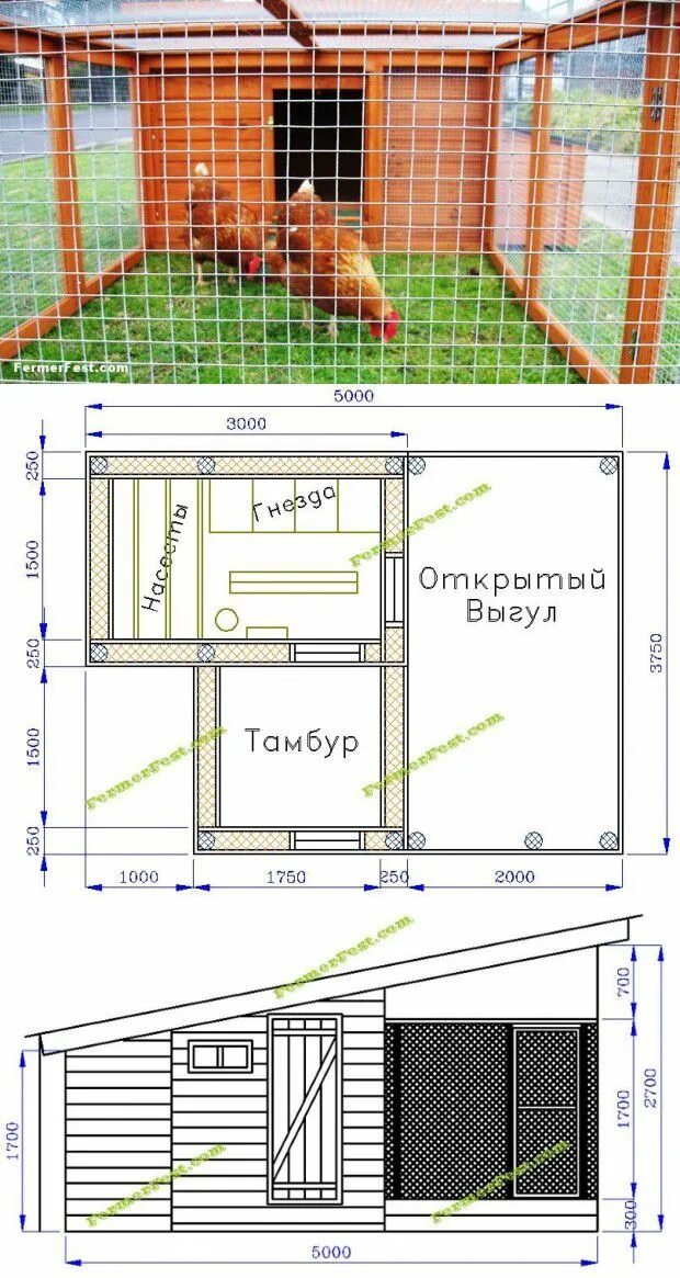 Курятник на 10-20 кур: размеры, чертежи, материалы, утепление, вентиляция, отопл