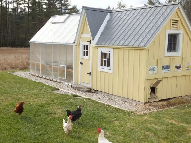 Построить курятник своими руками фото зимний Pin on Coops Chicken shed, Building a chicken coop, Chicken coop