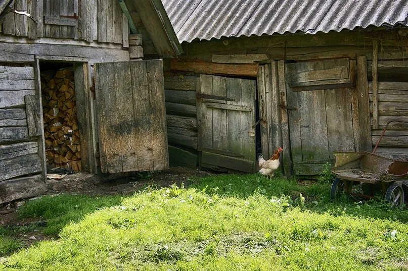 Постройки в деревне фото Тайны деревенских сундуков Проза (Рассказ)