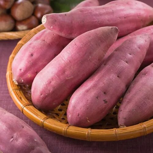 Потато что это за овощ фото Japanese purple sweet potato/ Yellow sweet potato in 2020 Alibaba.com