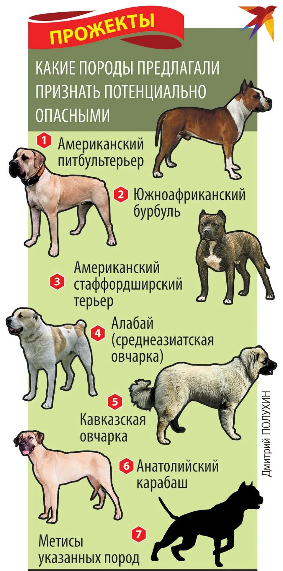 Потенциально опасные породы собак фото Перечень опасных пород: найдено 90 изображений