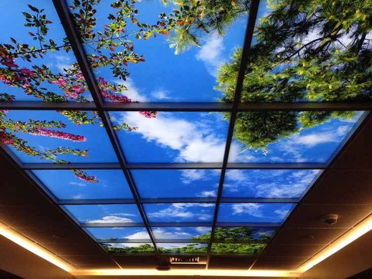 Потолки небо фото Sky Ceiling! Basement ceiling, Sky ceiling, Basement ceiling options