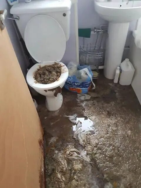 Потоп в туалете фото Man returns from holiday to find his house flooded with SEWAGE The Irish Sun