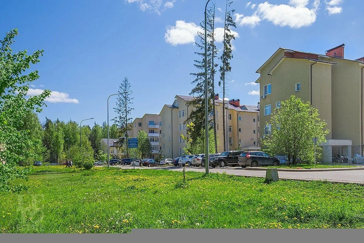 Поведники московская область фото Московская дубрава: найдено 77 изображений