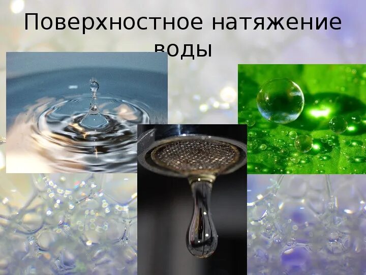 Поверхностное натяжение воды фото Проектная работа "Мыльные пузыри"
