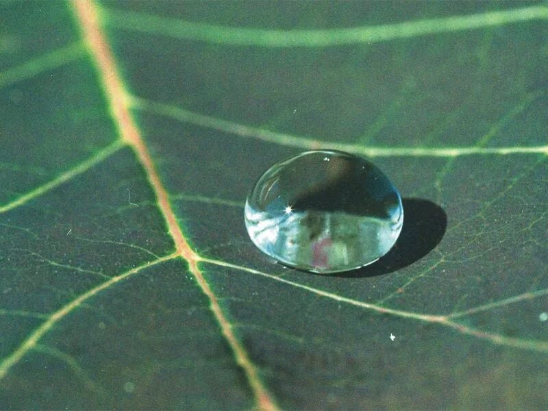 Поверхностное натяжение воды фото Explanation as to when a liquid on a rough surface will form a thin film and whe