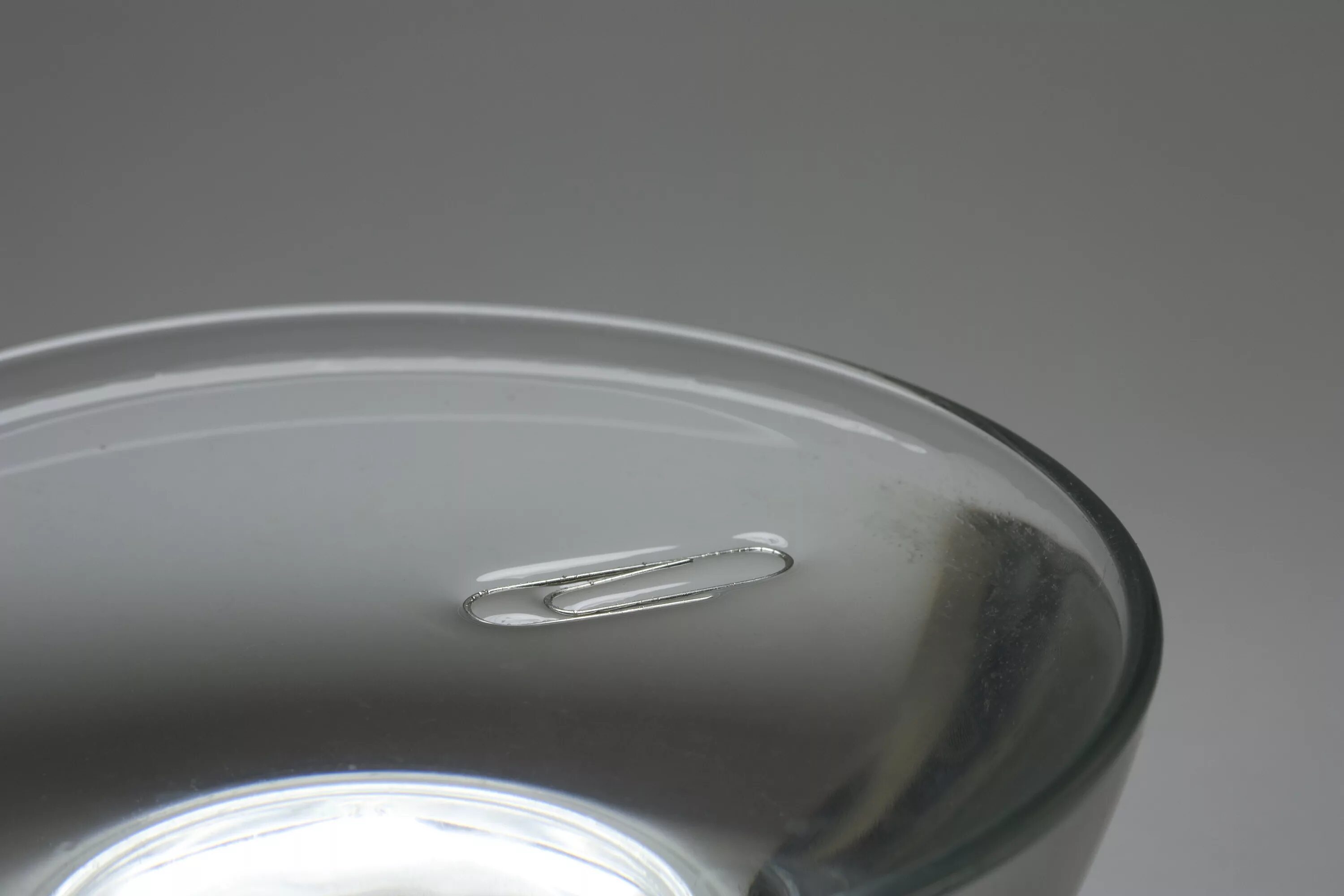 Поверхностное натяжение воды фото File:Water surface tension 1.jpg - Wikipedia