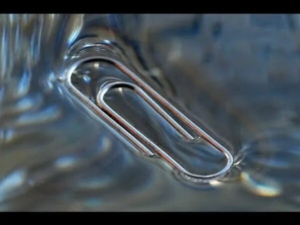 Поверхностное натяжение воды фото Make a Paper Clip or Coin Float on Water