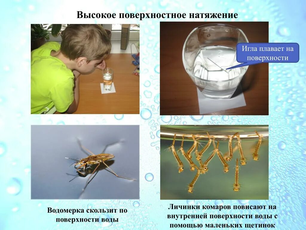 Поверхностное натяжение воды фото PPT - Участники проекта : ученики 3 "И" класса Ремизов Роман Семенов Илья PowerP