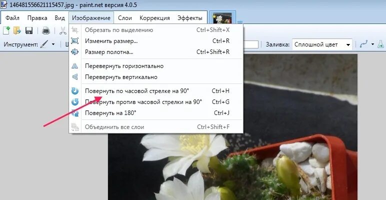 Повернуть фото на 90 Как поворачивать (переворачивать) фотографии - Форум цветоводов Фрау Флора