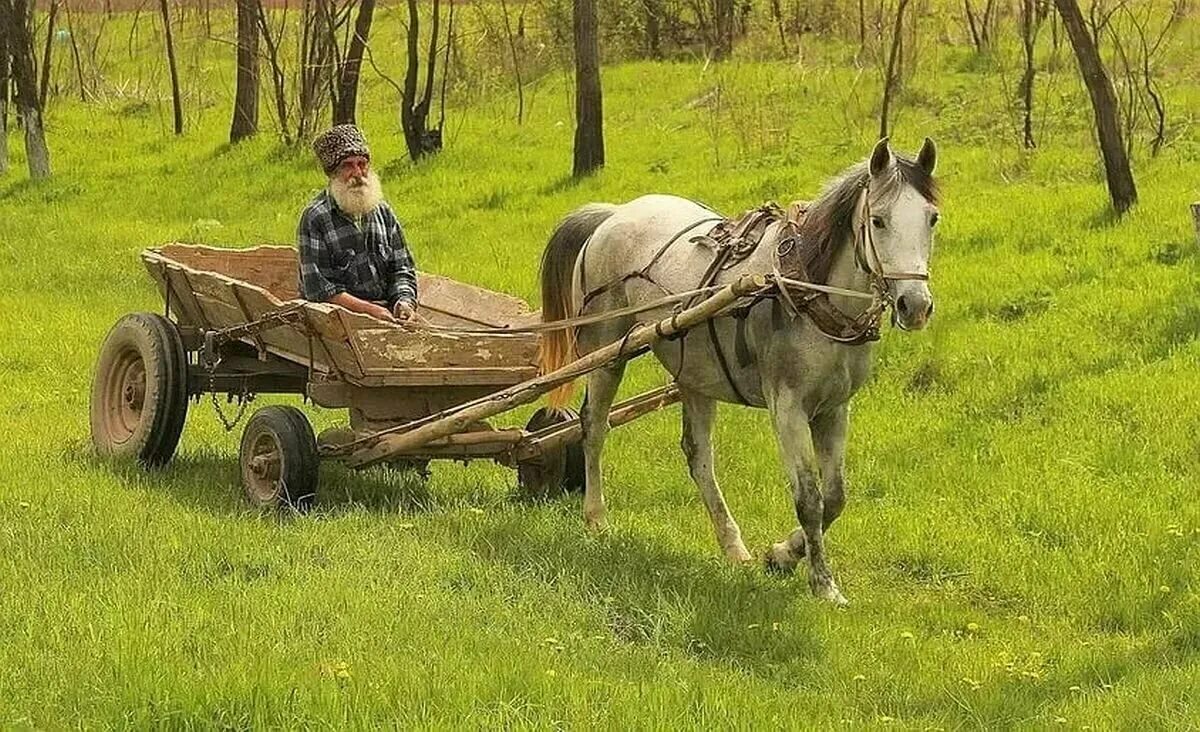 Повозка с лошадью фото И про рыбалку, и про покос.... Жили-были... Дзен