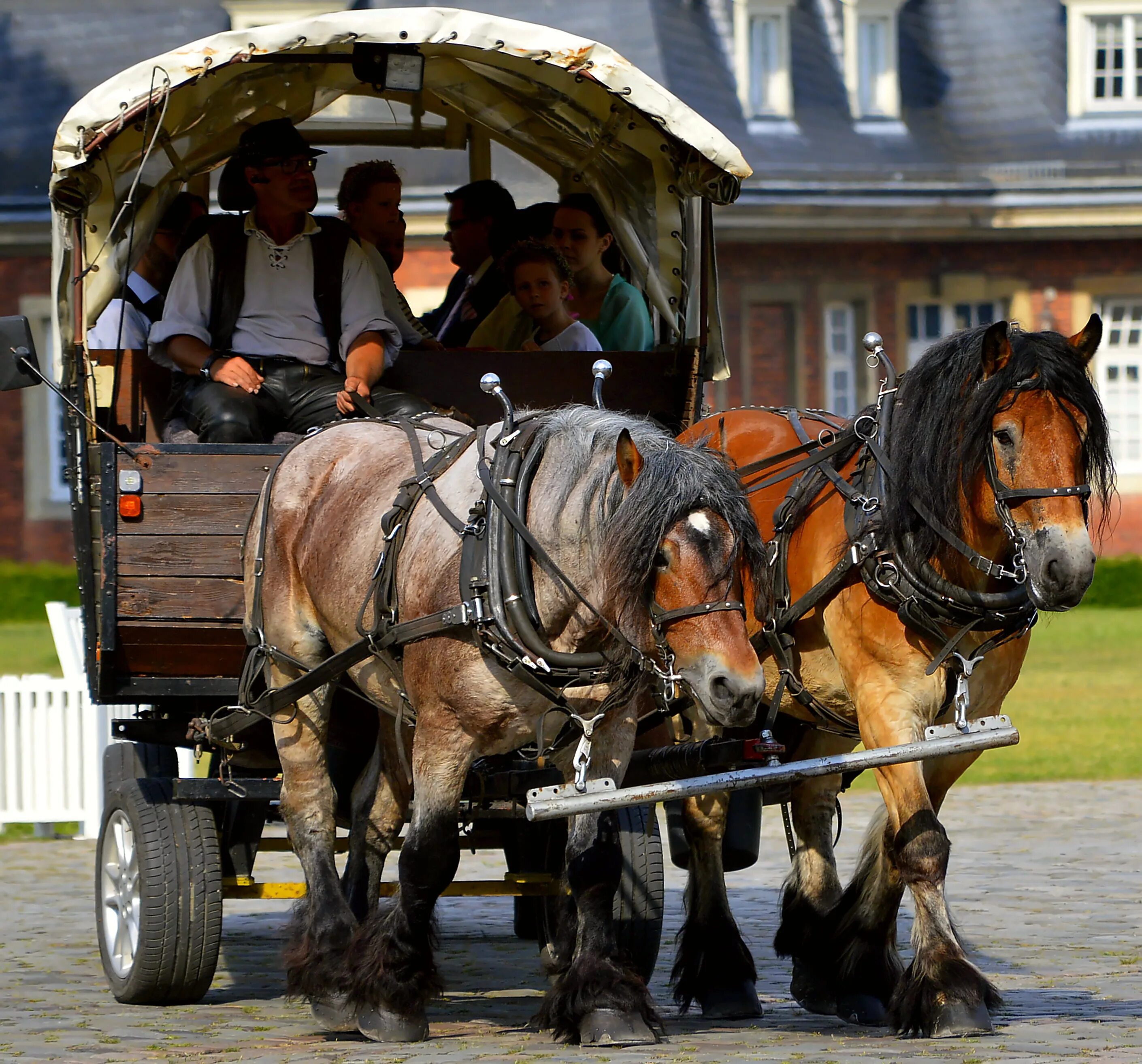 Повозка с лошадью фото Horse-drawn carriage people free image download