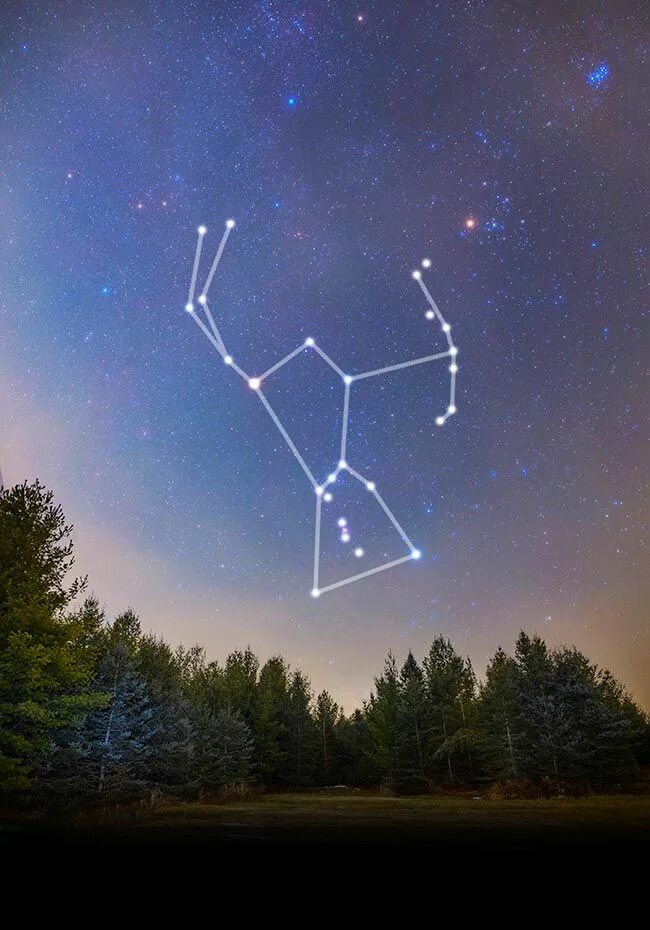 Пояс ориона на небе фото The Orion Constellation Pictures, Brightest Stars, and How to Find It Orion cons