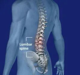 Пояснично крестцовый отдел фото на человеке Картинки МРТ ПОЯСНИЧНО ПОДВЗДОШНОГО ОТДЕЛА