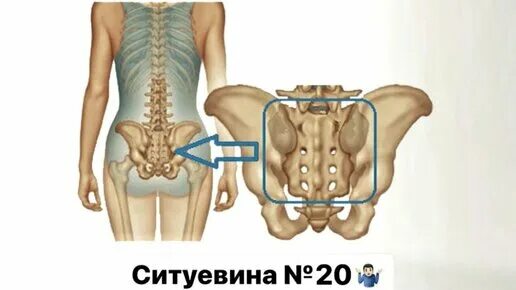 Пояснично крестцовый отдел фото на человеке ОМОЛОЖЕНИЕ Красивые губы Подтянутый овал лица. Подписывайтесь и смотрите полную 