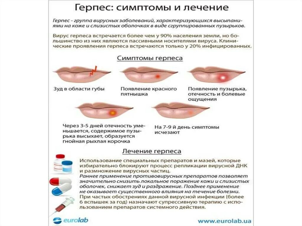 Поясничный герпес отчего появляется как лечить фото Герпес признаки лечение