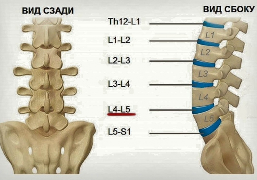 УЗИ поясничного отдела позвоночника - "УЗИ поясничного отдела позвоночника показ