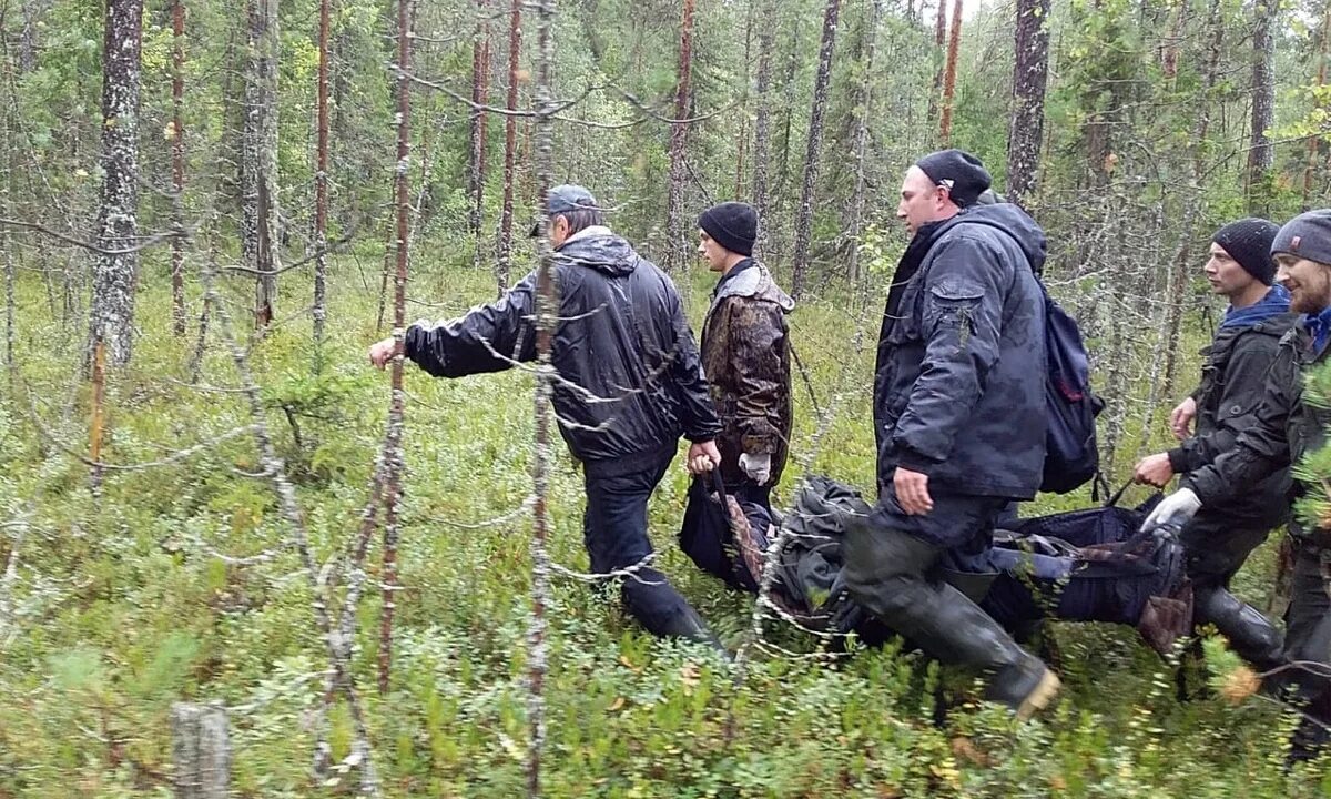 Поймали в лесу фото В Карелии 75-летняя женщина провела ночь в лесу